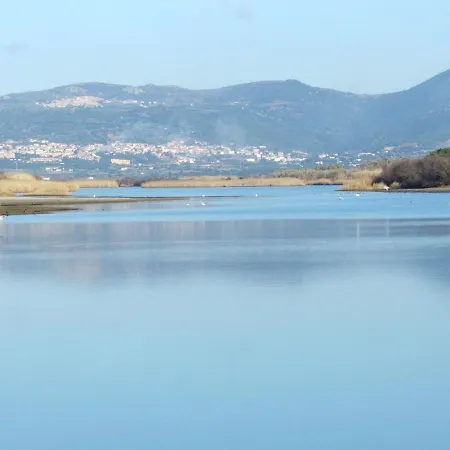 Ananas 4 D By Interhome Daire