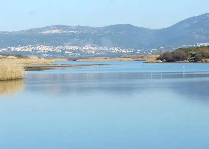 Ananas 4 D By Interhome 公寓